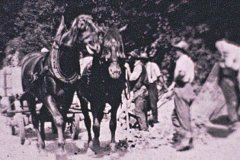 bg0413-12