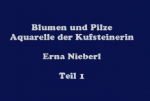 AQUARELLE von "ERNA NIEBERL" - Teil 1 (Bilder des Monats-November 2017)