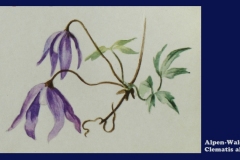 bg1117-05