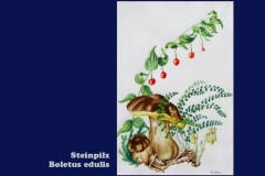 bg1217-06