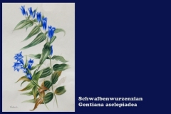 bg1217-09