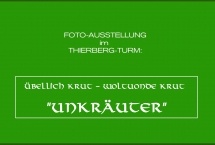 FOTOAUSSTELLUNG IM THIERBERG-TURM Übellich Krut - Woltuonde Krut