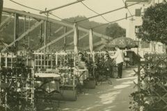 bg0212-09