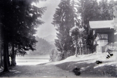 bg0220-11