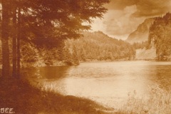 bg08-03