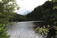 bg08-08
