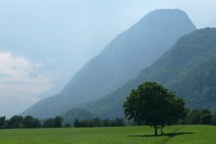 bg0412-08