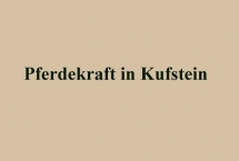 PFERDEKRAFT IN KUFSTEIN (Bilder des Monats-August 2017)