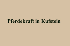 PFERDEKRAFT IN KUFSTEIN (Bilder des Monats-August 2017)