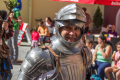 Ritterumzug_2013-77