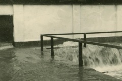 bg0713-07