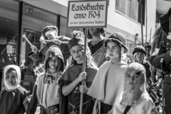 UMZUG RITTERFEST - GRUPPE DES HEIMATVEREINS (Bilder des Monats-August 2014)