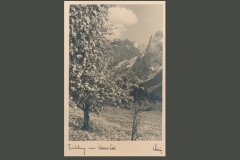 Urlaub-in-Kufstein-1933-Teil-2_2