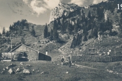 bg0615-19