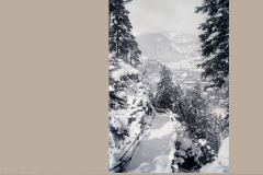 bg1219-03