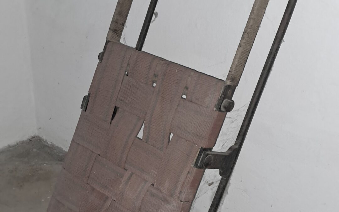 FEBRUAR 2026: Skeleton